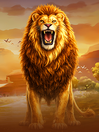 Lion Safari